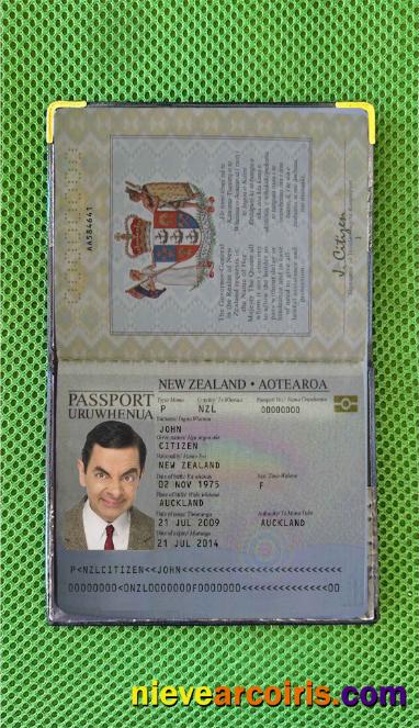 New Zealand passport (2005-2009) photolook